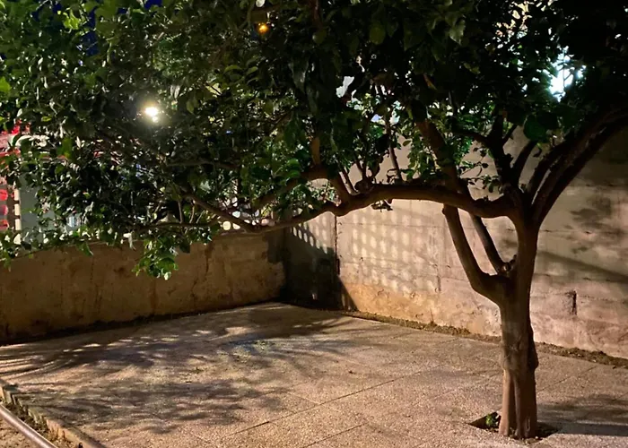 Διαμέρισμα La Casa Di Didi Porto Azzurro